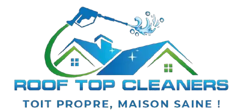 Rooftop cleaners Bruxelles
